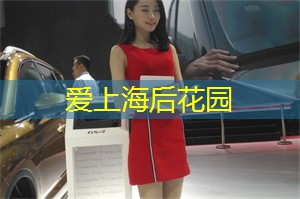 爱上海419论坛：吃遍上海！探寻最地道的本地美食