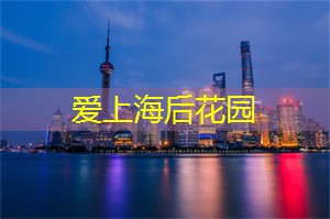 上海新茶工作室：在繁忙的都市中寻觅宁静之地：上海新茶工作室带你体验返璞归真的