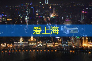 上海龙凤419：上海论坛惊喜不断：一场全民创造力的盛宴！