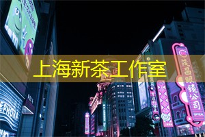 上海龙凤419：怀念