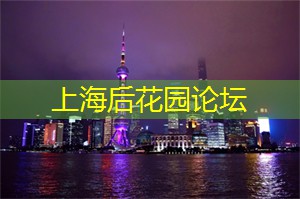上海品茶工作室：上海的艺术装置与公共空间
