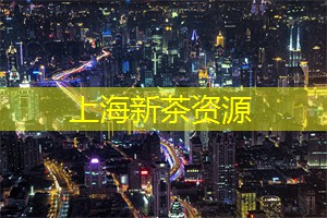 上海新茶工作室：浓浓市井气息的夜市探寻