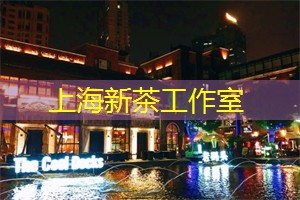 上海龙凤419：上海的数字表演与技术碰撞