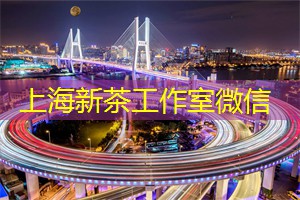 上海品茶网：探索与让上海成为城市符号的力量